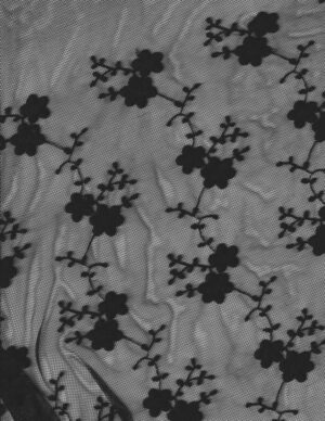 Embroidered Cotton Mesh Lace