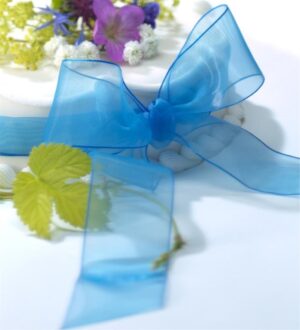 Organdy Ribbon